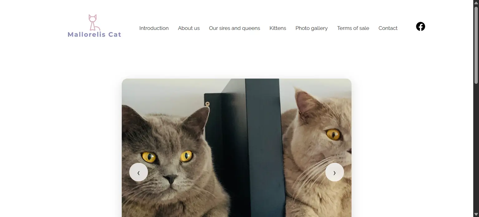 Mallorelis Cats screenshot